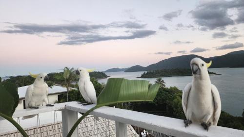The Haven View - Airlie Beach