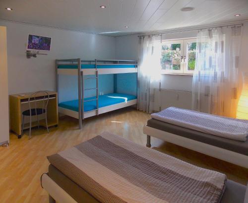 Gästehaus ALBA - Sie bekommen garantiert Eintrittskarten für den Park über uns 1-Tageskarten und 2-Tageskarten zusätzlich zum limitierten Kontingent - image 13