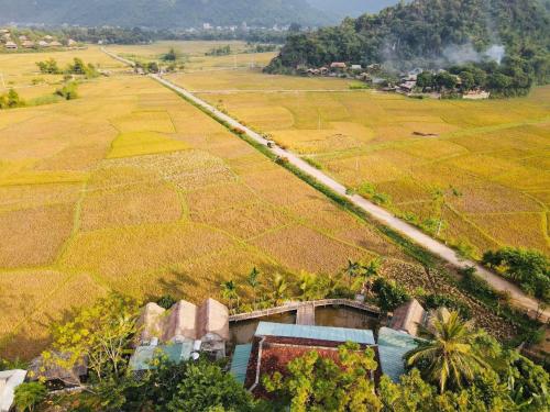 mai chau rice fields homestay