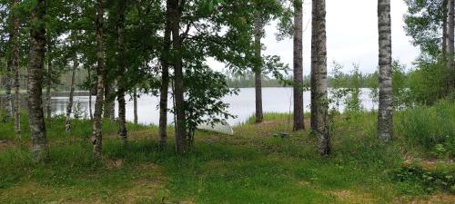 Pikkumökki Lintukoto (Pikkumokki Lintukoto) in Utajärvi