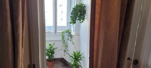 Cozy Room near Metro & Airport, Lissabon (Foto 3)
