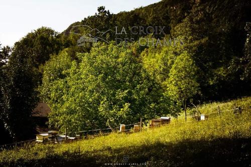 Un ancien domaine viticole au bord du lac d'Annecy pour rayonner en Haute-Savoie