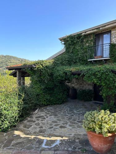  Agriturismo Chiusulelle in 84061 Ogliastro Cilento