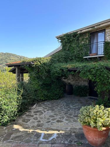  Agriturismo Chiusulelle, Ogliastro Cilento bei Albanella