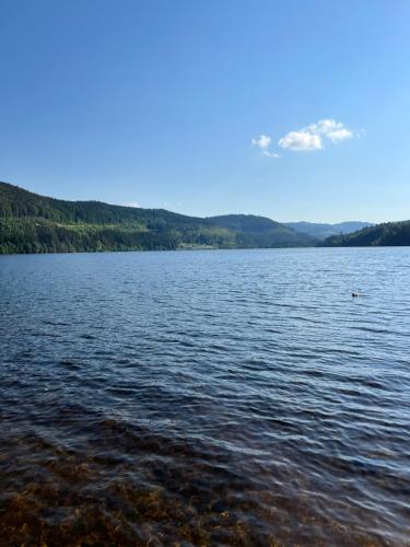 Schwarzwald - Villa Appartments Titisee - image 2