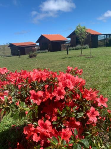 Pousada Querência Tarumã