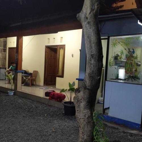 ijen Traveller homestay