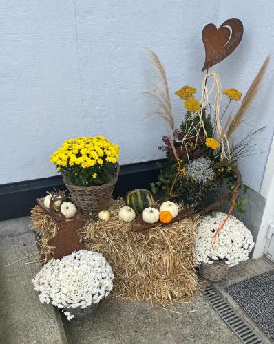 Apartment Schlickenhof - image 5