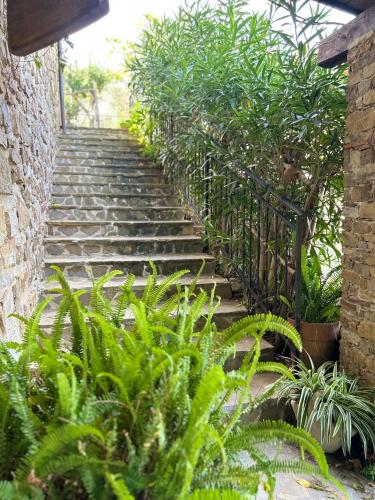  Agriturismo Chiusulelle in Ogliastro Cilento