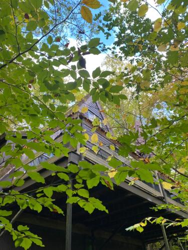  Sunclass 206 in Durbuy