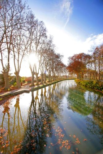 Hôtel IMPERATOR Béziers - image 13