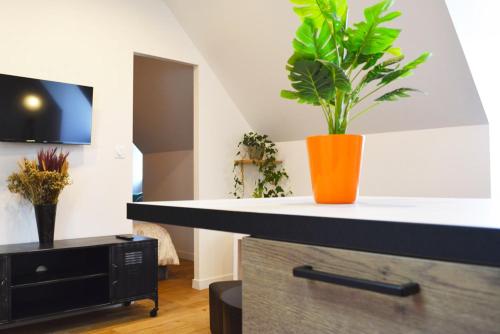 صالة مشتركة/ منطقة التلفزيون, Gîte La Capucine (Gite La Capucine) in سان افرتين