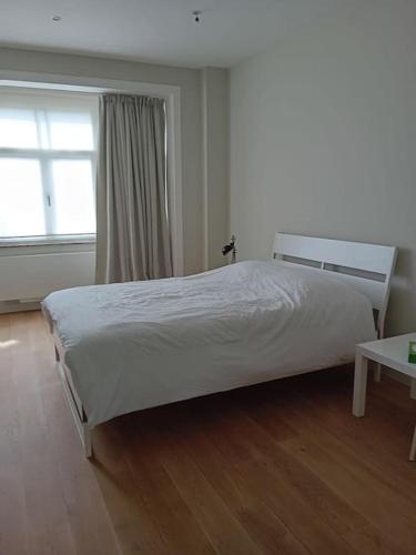 Spacieux Appartement 1 chambre double & jardin, Брюссель (фото 4)