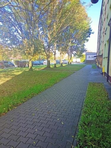 Зовнішній вигляд готелю, Apartament Zabrze Grzybowska in Забже