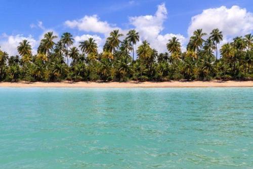 Flat 2 Marias - image 5