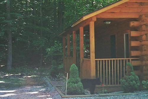 Couples Getaway Log Cabin in the White Mountains