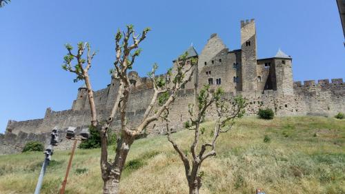 My Quiet Place near Carcassonne