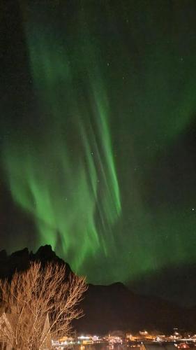 Lofoten Overnatting - Ballstad Lofoten Overnatting - Ballstad