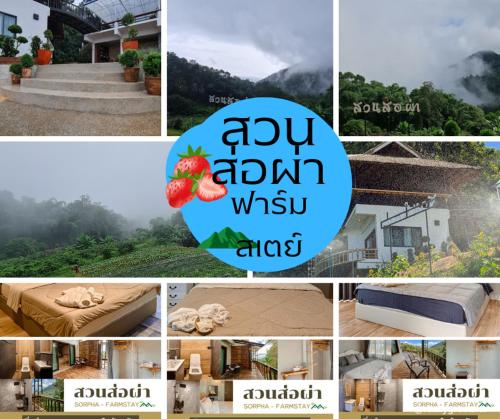 B&B Mae Sai - สวนส่อผ่า&ฟาร์มสเตย์ - Bed and Breakfast Mae Sai