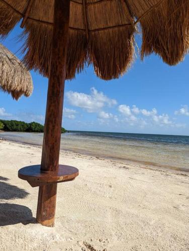 Peninsula Luxury Apartments with ocean front and espectacular views - no pets, Канкун (фото 8)