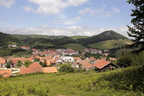 Apartamentos Irati Garralda in Garaioa
