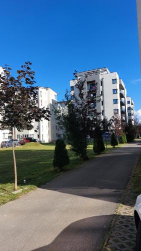 Apkārtne, Stefania Apartment Sibiu in Selimbar