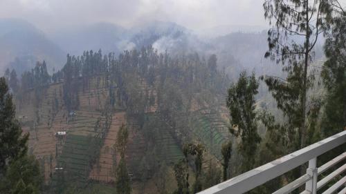 Villa Bromo Pananjakan DHAHKAYANGAN Backyard View Mountain, 3BR, 6 Pax, Wonokitri, Additional Jeep Bromo Sunrise SKY TEAM INDONESIA PARTNER