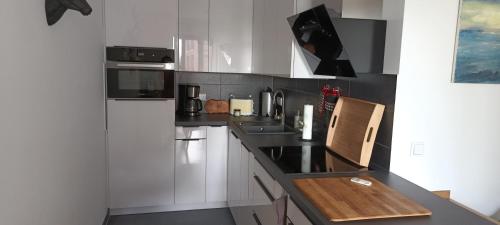 Wunderschöne Ferienwohnung direkt an der Elbe, Alt-und Neustadtnähe, Drážďany (fotografie 3)