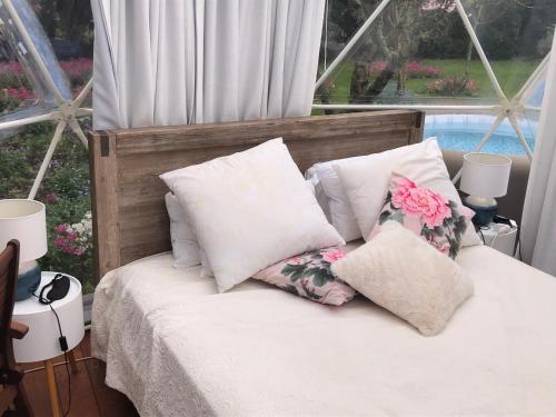 Flowerhaven - glamping dome, Hamilton (zdjęcie 7)