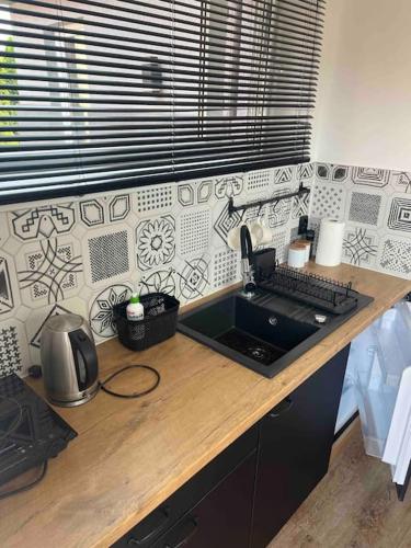 Mały Apartament - Wierzbiny numer 2 (Maly Apartament - Wierzbiny numer 2) in Ожиш