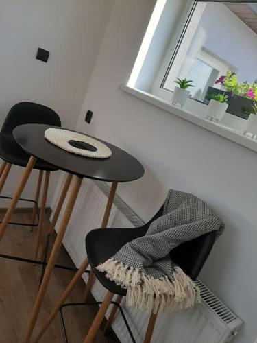 Mały Apartament - Wierzbiny numer 2 (Maly Apartament - Wierzbiny numer 2) in Ожиш