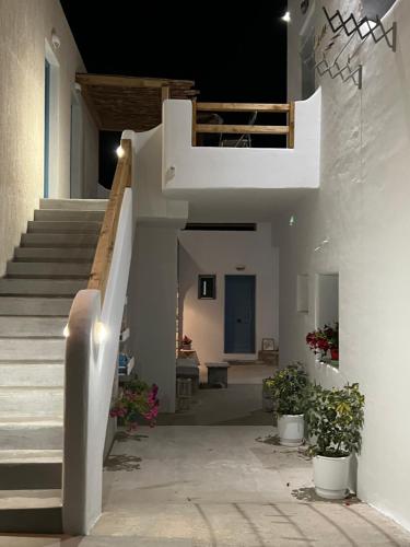 Alexandra’s studios in Ag. Georgios (Irakleia)