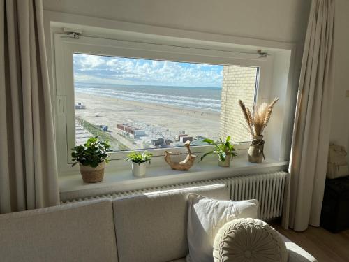 Appartement aan het strand in Zandvoort aan Zee!