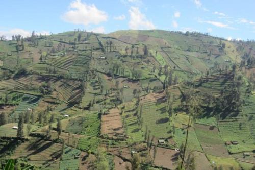 Hotel Nature Bromo and Resort