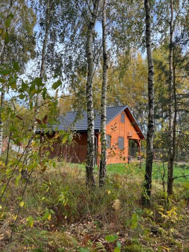 DOMEK LETNISKOWY POD BRZOZAMI na Roztoczu wśród lasów, Zamość, Krasnobród, Zwierzyniec (DOMEK LETNISKOWY POD BRZOZAMI na Roztoczu wsrod lasow, Zamosc, Krasnobrod, Zwierzyniec) in Jacnia