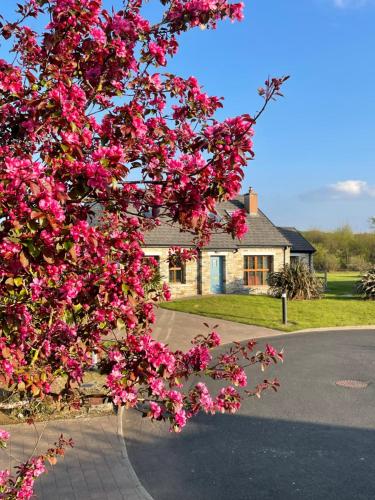 Donegal Boardwalk Resort