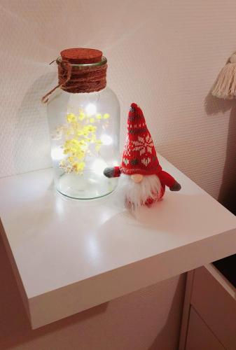 appartement cosy Strasbourg, Straßburg (Foto 10)