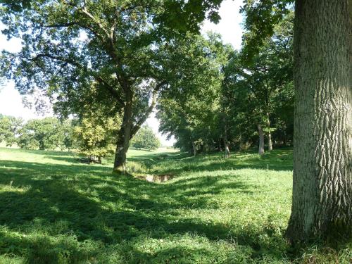 Farmer Hotel Basedow