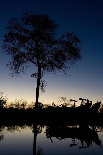 Nkorho Bush Lodge