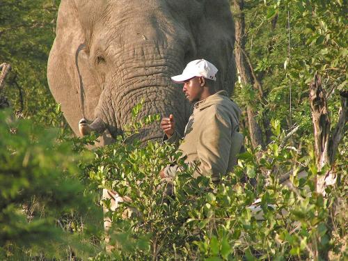 Nkorho Bush Lodge