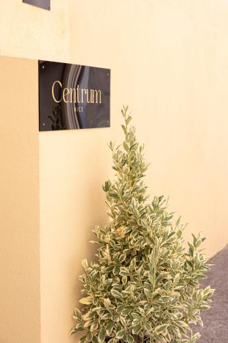 Centrum Nice, Nice (fotografie 5)