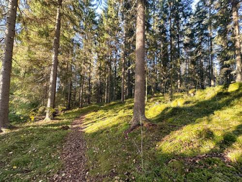 Sapelin airbnb, Parkano in Паркано