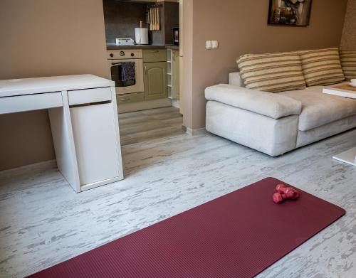 Elegant spotless apartment in Sofia Center, Sofia (Foto 7)