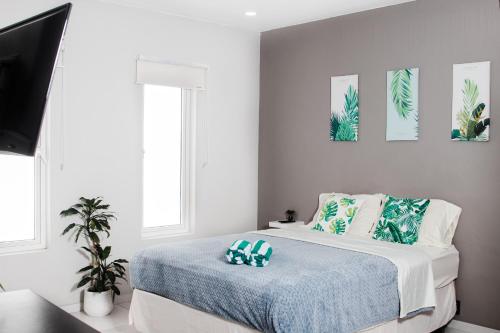 One-Bedroom Apartment image 4