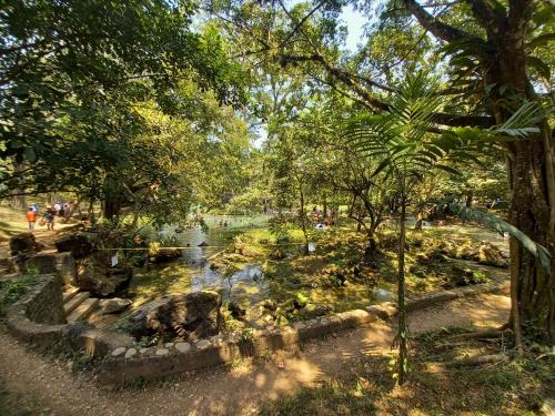 Hniu Li Valle Nacional in Miguel Hidalgo