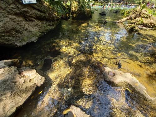 Hniu Li Valle Nacional in Miguel Hidalgo