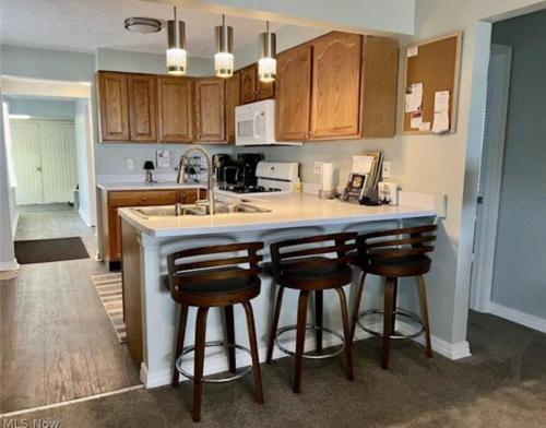 Lakeview - Lake Erie - Ashtabula, OH - 5 Min to GOTL - Fireplace- Deck - King Bed in Ashtabula, USA