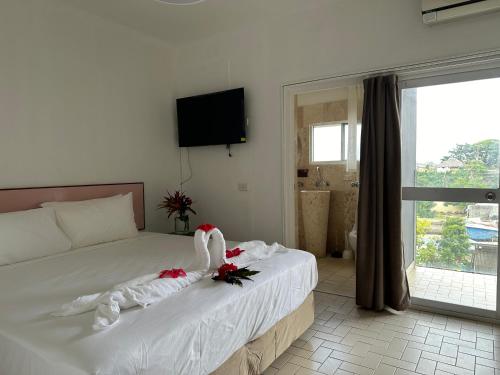 Coconut Palms Resort & Diamond Casino - image 4