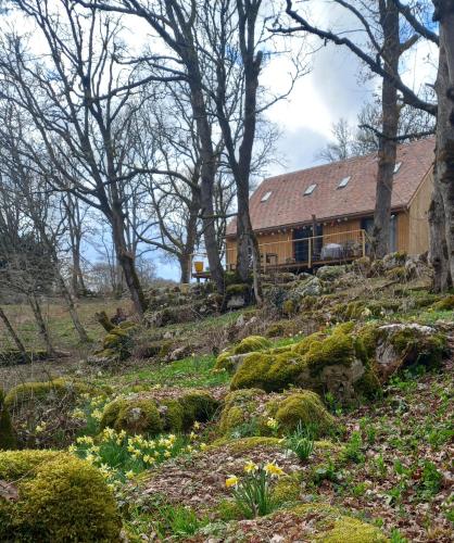 La jonquille - Location saisonnière - Gramat