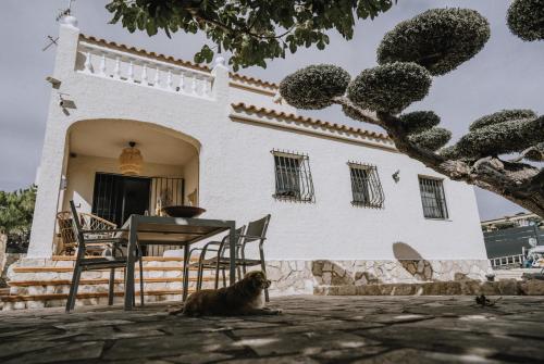Oliveres3, L'Ampolla